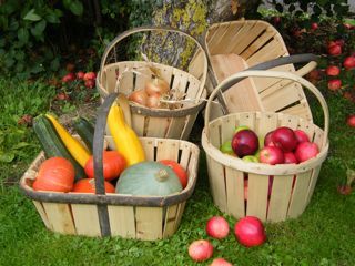 devon splint basket